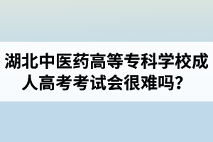 湖北中醫(yī)藥高等?？茖W(xué)校成人高考考試會(huì)很難嗎？壓力會(huì)不會(huì)很大？