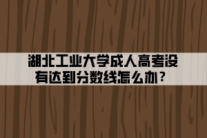 湖北工業(yè)大學成人高考沒有達到分數(shù)線怎么辦？