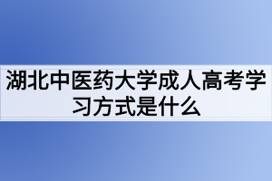 湖北中醫(yī)藥大學(xué)成人高考學(xué)習(xí)方式是什么