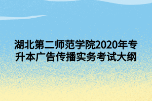 湖北第二師范學院2020年專升本廣告?zhèn)鞑崉?wù)考試大綱