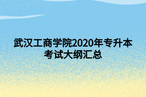 武漢工商學(xué)院2020年專升本考試大綱匯總