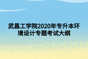 武昌工學(xué)院2020年專(zhuān)升本環(huán)境設(shè)計(jì)專(zhuān)題考試大綱