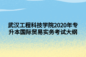 武漢工程科技學(xué)院2020年專升本國際貿(mào)易實(shí)務(wù)考試大綱