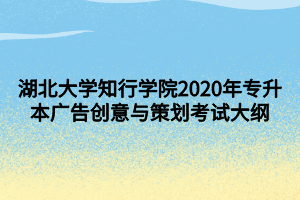 湖北大學(xué)知行學(xué)院2020年專升本廣告創(chuàng)意與策劃考試大綱