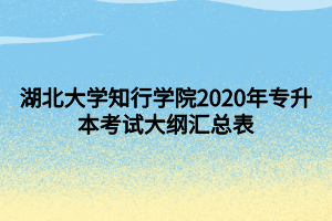 湖北大學(xué)知行學(xué)院2020年專升本考試大綱匯總表