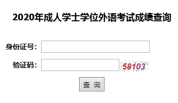 2020年湖北成人高考學位英語成績查詢?nèi)肟谝验_通