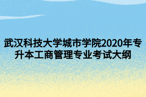 武漢科技大學(xué)城市學(xué)院2020年專升本工商管理專業(yè)考試大綱