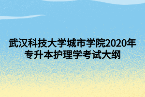 武漢科技大學城市學院2020年專升本護理學考試大綱