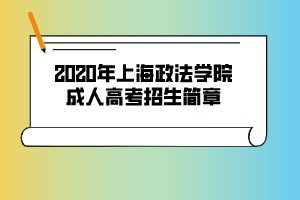 2020年上海政法學(xué)院成人高考招生簡章