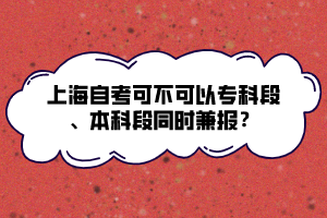 上海自考可不可以?？贫?、本科段同時兼報？