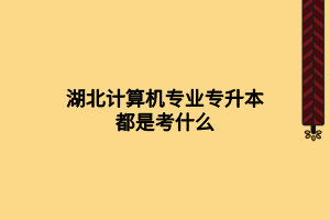 湖北計(jì)算機(jī)專業(yè)專升本都是考什么