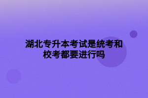 湖北專升本考試是統(tǒng)考和?？级家M行嗎