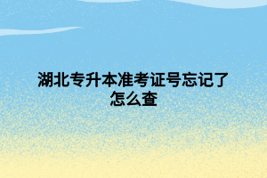 湖北專升本準考證號忘記了怎么查