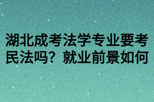 湖北成考法學(xué)專業(yè)要考民法嗎？就業(yè)前景如何