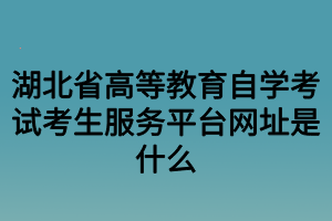 湖北省高等教育自學考試考生服務平臺網址是什么