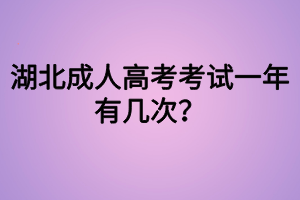 湖北成人高考考試一年有幾次？