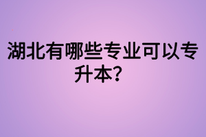 湖北有哪些專業(yè)可以專升本？