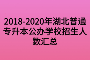 2018-2020年湖北普通專升本公辦學校招生人數匯總