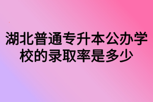 湖北普通專升本公辦學校的錄取率是多少