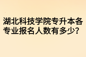 湖北科技學(xué)院專升本各專業(yè)報(bào)名人數(shù)有多少？