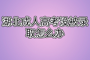 湖北成人高考沒被錄取怎么辦