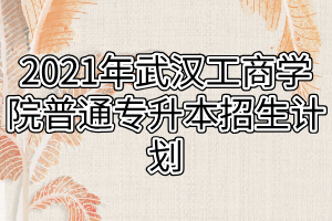 2021年武漢工商學(xué)院普通專(zhuān)升本招生計(jì)劃