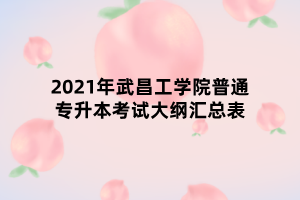 2021年武昌工學(xué)院普通專(zhuān)升本考試大綱匯總表