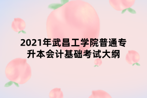 2021年武昌工學(xué)院普通專(zhuān)升本會(huì)計(jì)基礎(chǔ)考試大綱