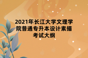 2021年長江大學文理學院普通專升本設計素描考試大綱