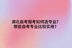 湖北自考報(bào)考如何選專業(yè)？哪些自考專業(yè)比較實(shí)用？