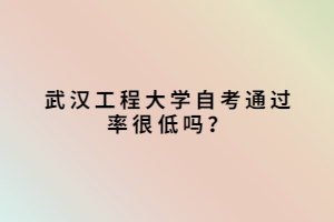 武漢工程大學自考通過率很低嗎？