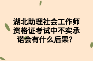 湖北助理社會(huì)工作師資格證考試中不實(shí)承諾會(huì)有什么后果？