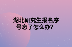 湖北研究生報(bào)名序號(hào)忘了怎么辦？