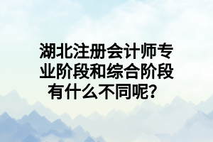 湖北注冊會計師專業(yè)階段和綜合階段有什么不同呢？