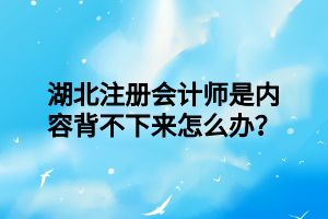 湖北注冊會計(jì)師是內(nèi)容背不下來怎么辦？