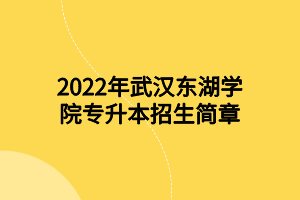 2022年武漢東湖學(xué)院專升本招生簡章