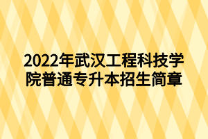 2022年武漢工程科技學(xué)院普通專升本招生簡章