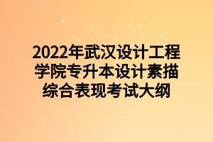 2022年武漢設(shè)計工程學(xué)院專升本設(shè)計素描綜合表現(xiàn)考試大綱