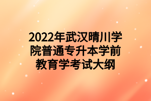 2022年武漢晴川學(xué)院普通專升本學(xué)前教育學(xué)考試大綱