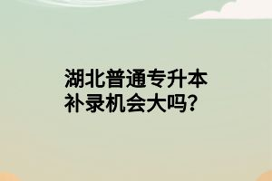 湖北普通專升本補(bǔ)錄機(jī)會(huì)大嗎？