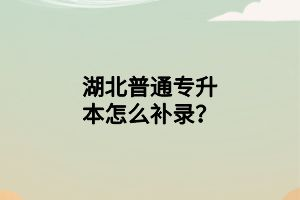 湖北普通專升本怎么補錄？